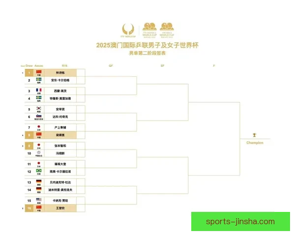世界杯赛程全解析与胜负预测专家独家指南